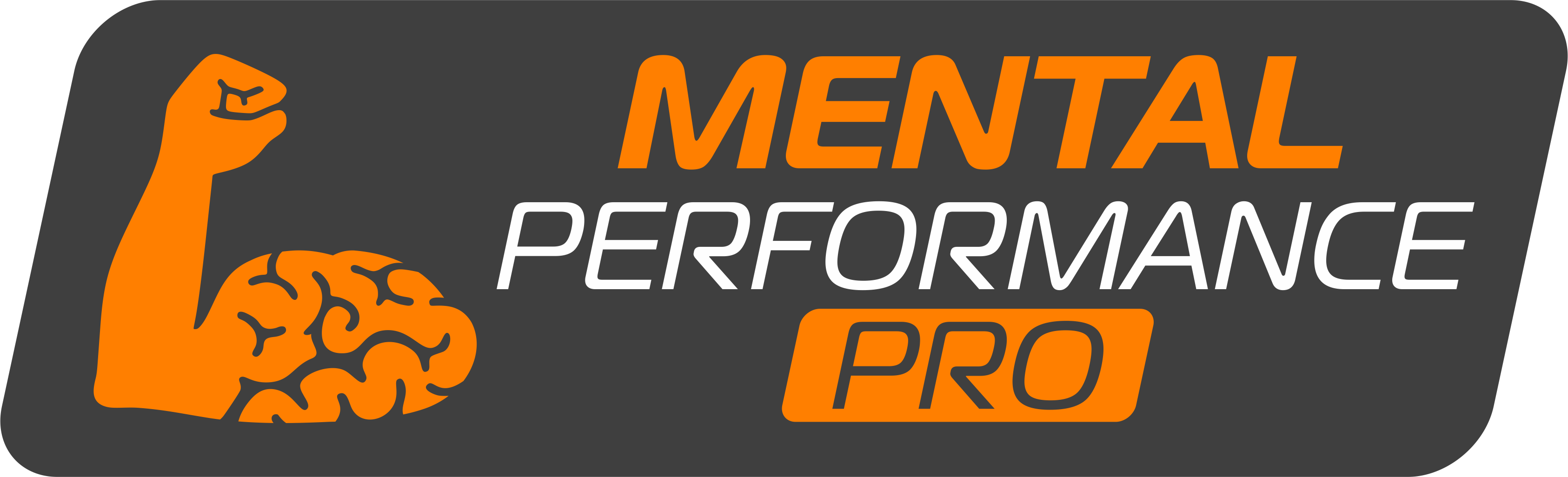 MENTAL PERFORMANCE PRO